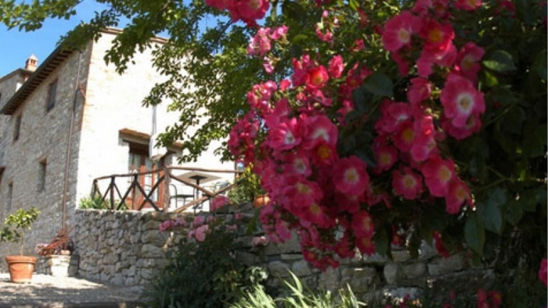 PODERE CASTELLINA - AQUILA