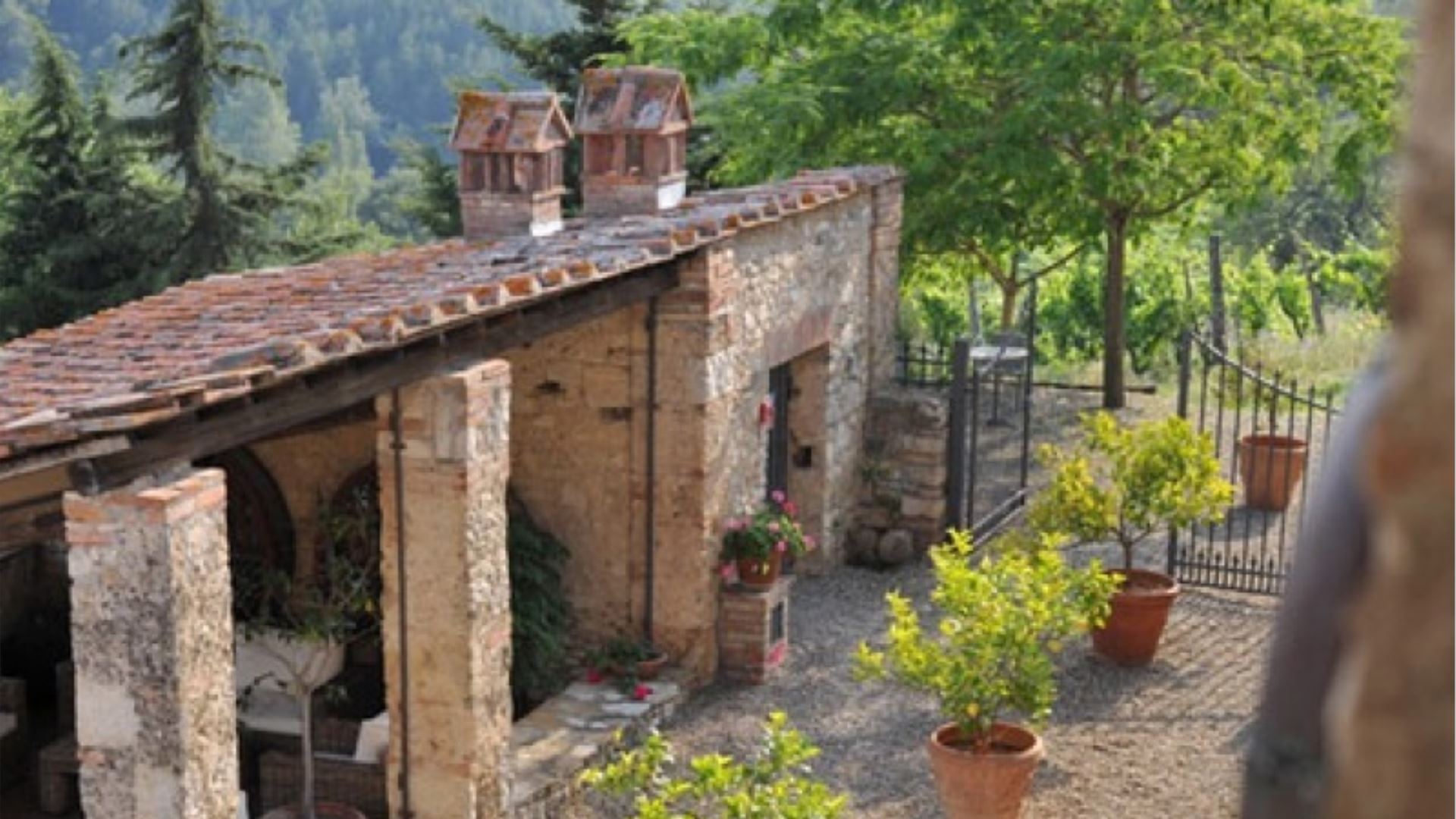 PODERE CASTELLINA - ISTRICE