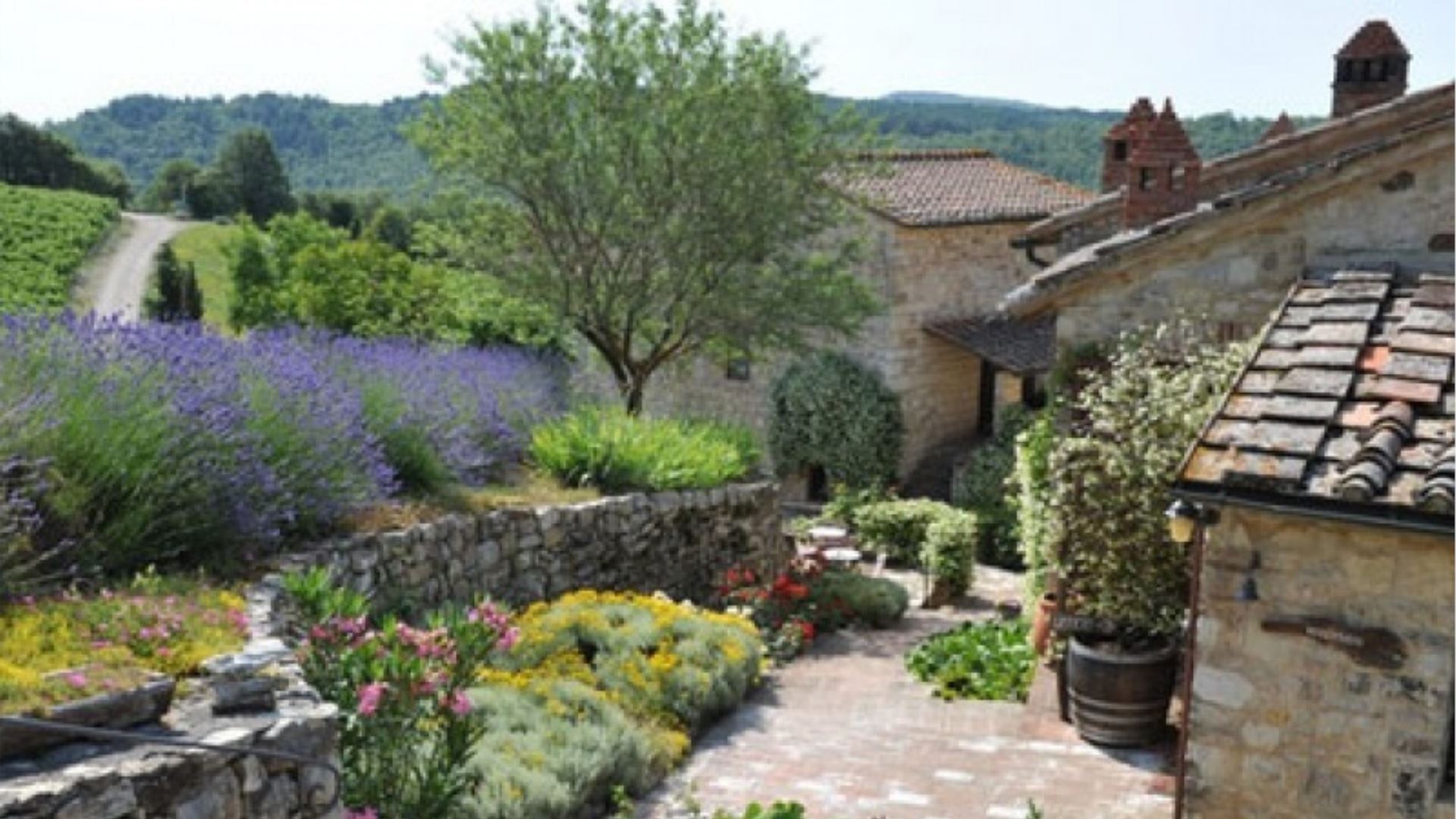 PODERE CASTELLINA - SELVA