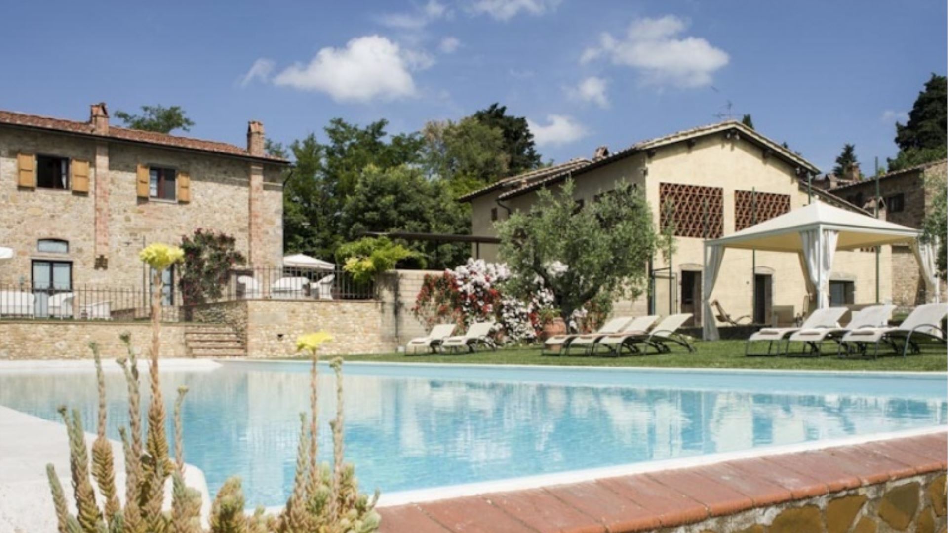 FATTORIA POGNI - GELSOMINO