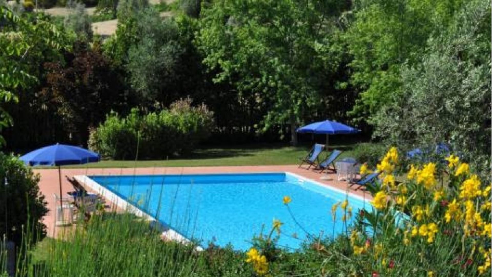 PODERE DELLA MADONNA - CIPRESSO