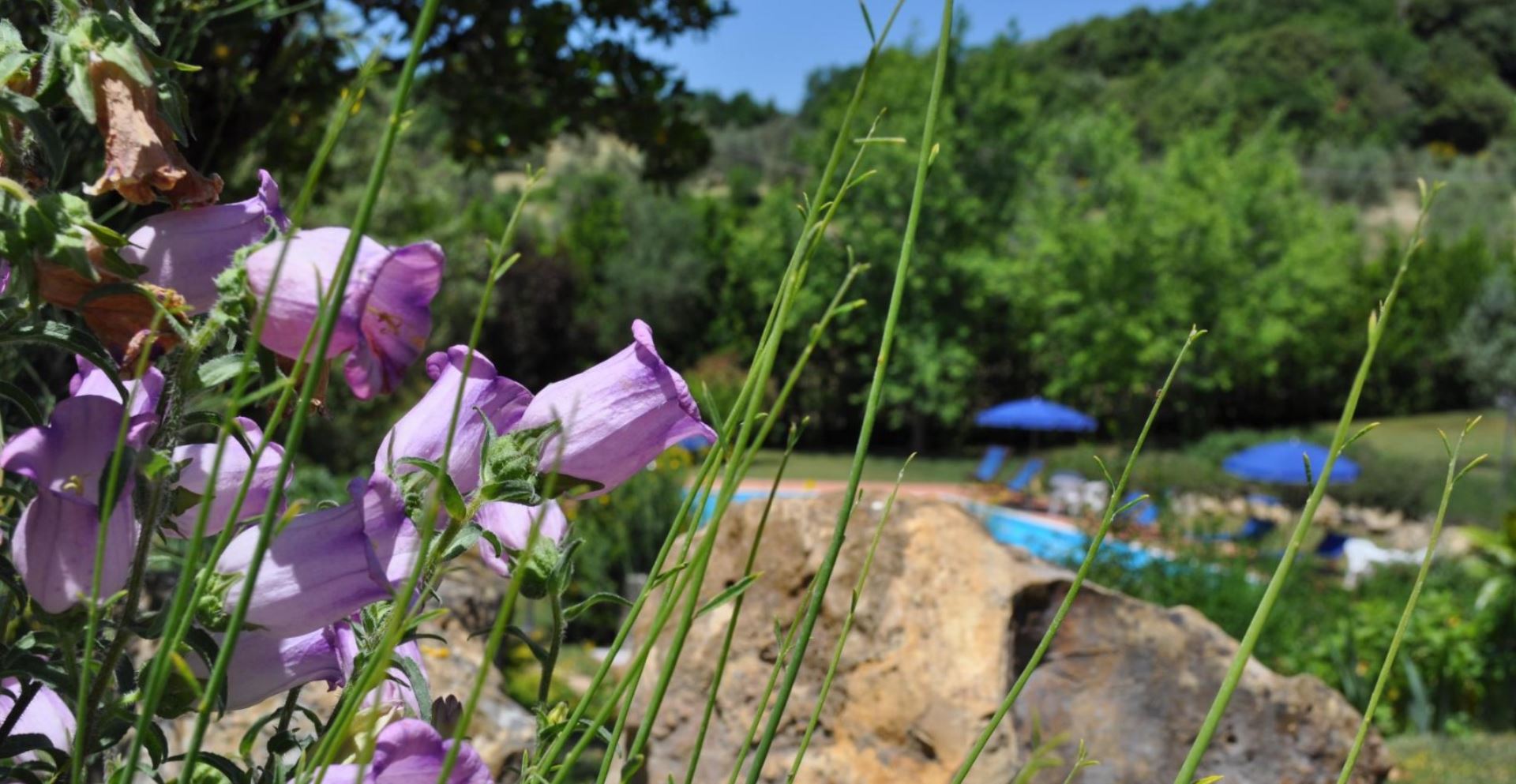 PODERE DELLA MADONNA
