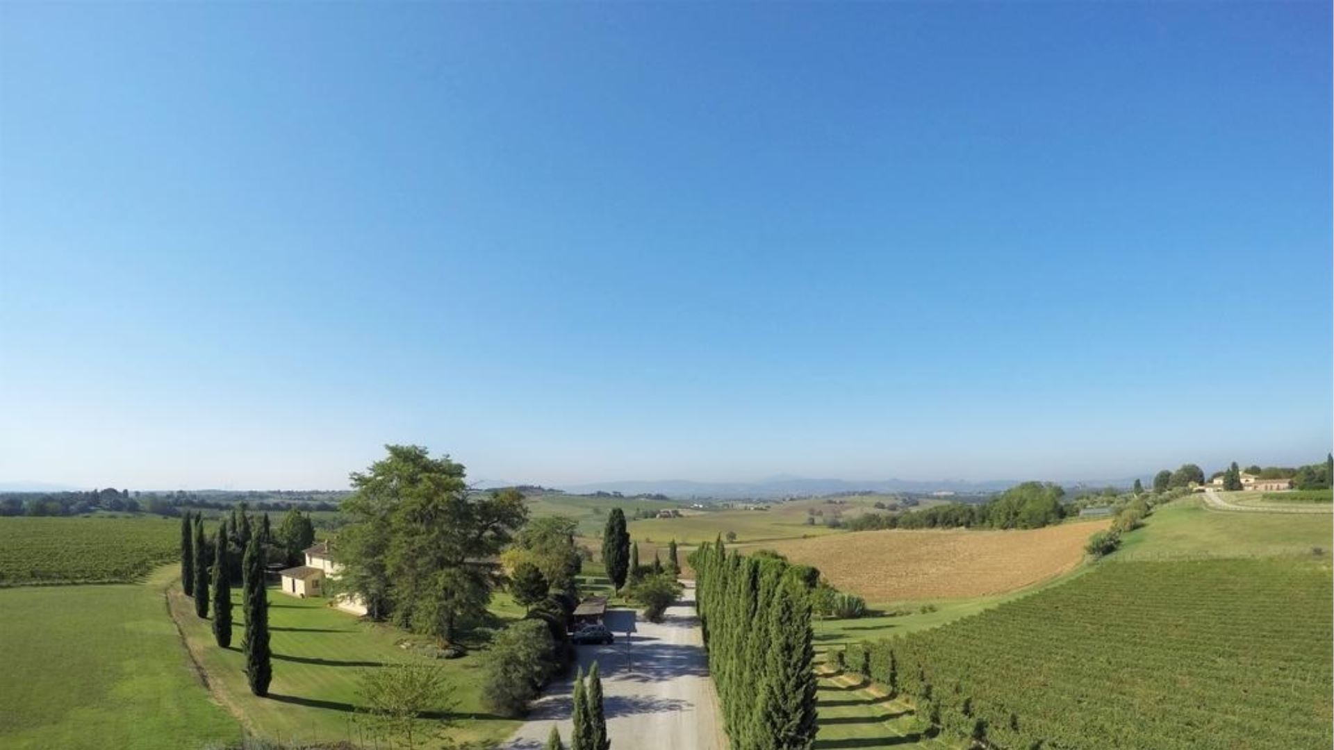 PODERE SOLE - CARRUBE