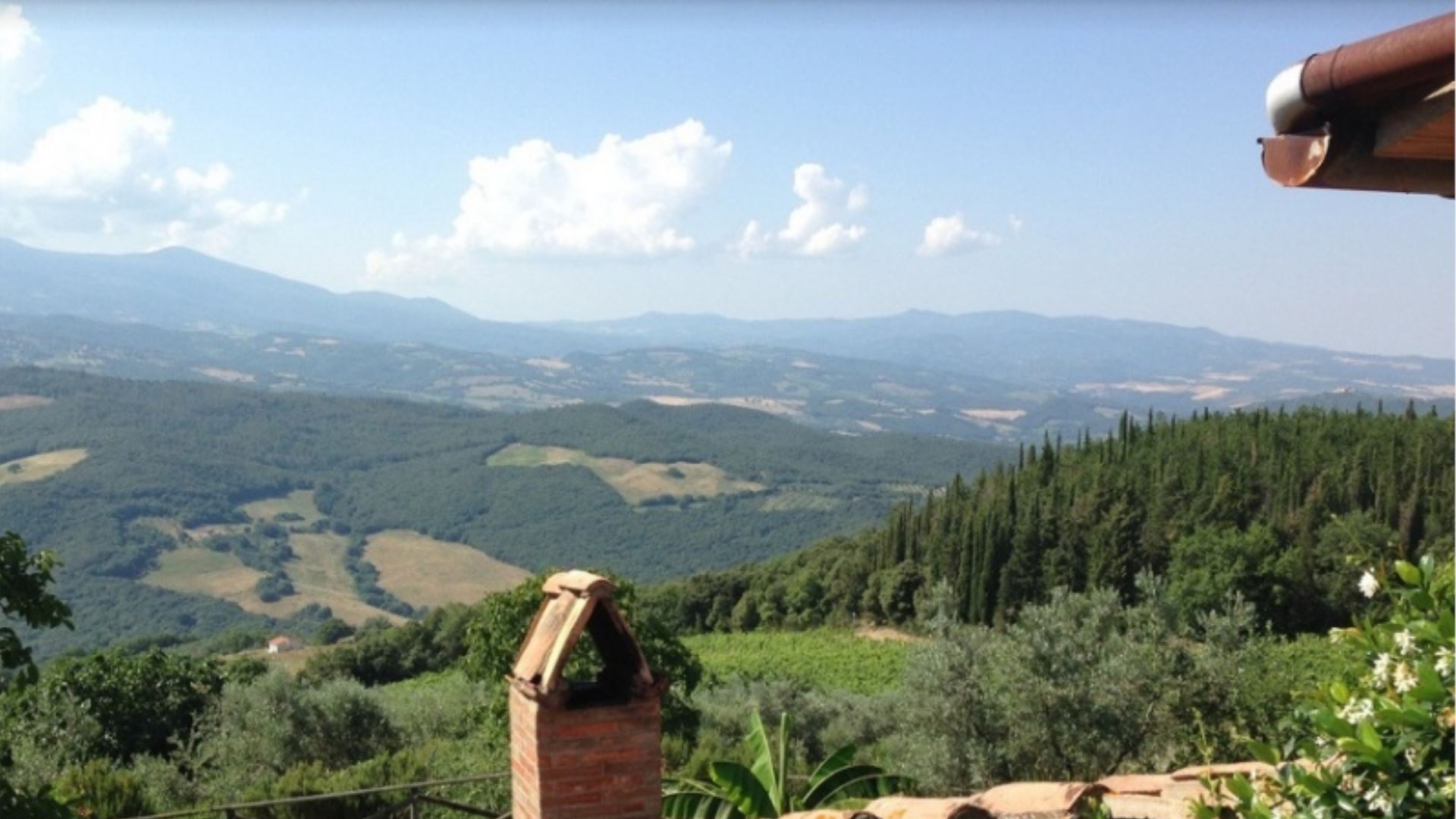 POGGIO AL VENTO - MIMOSA