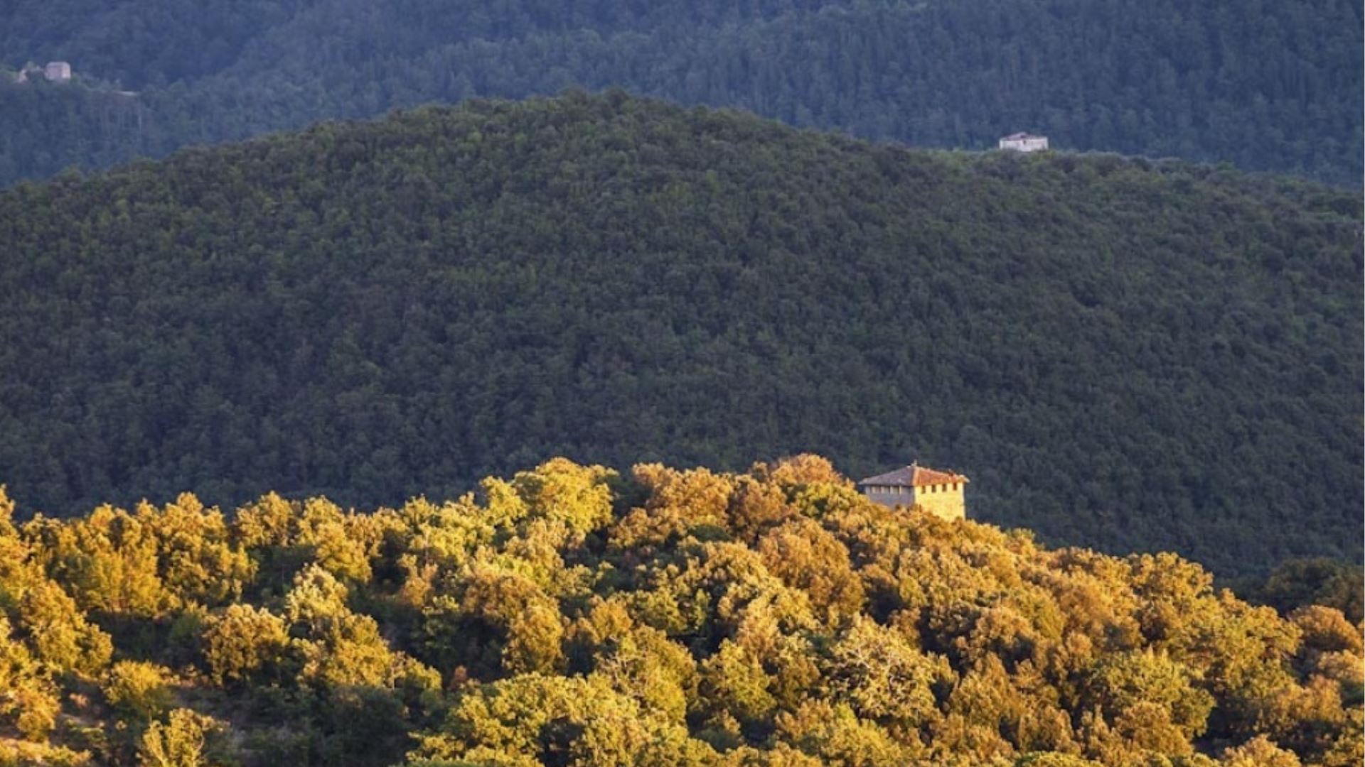VILLA SAVINO