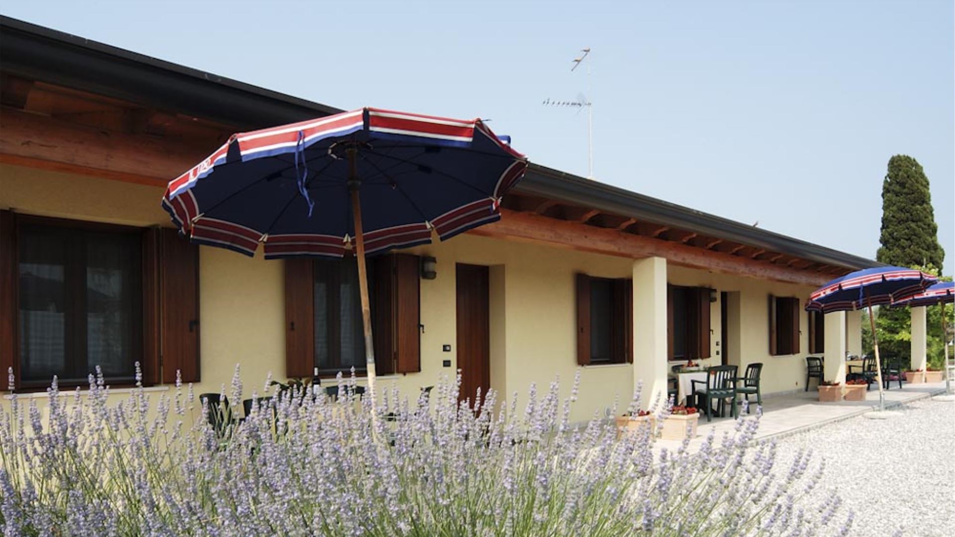 TENUTA REGINA - MASORINI 1