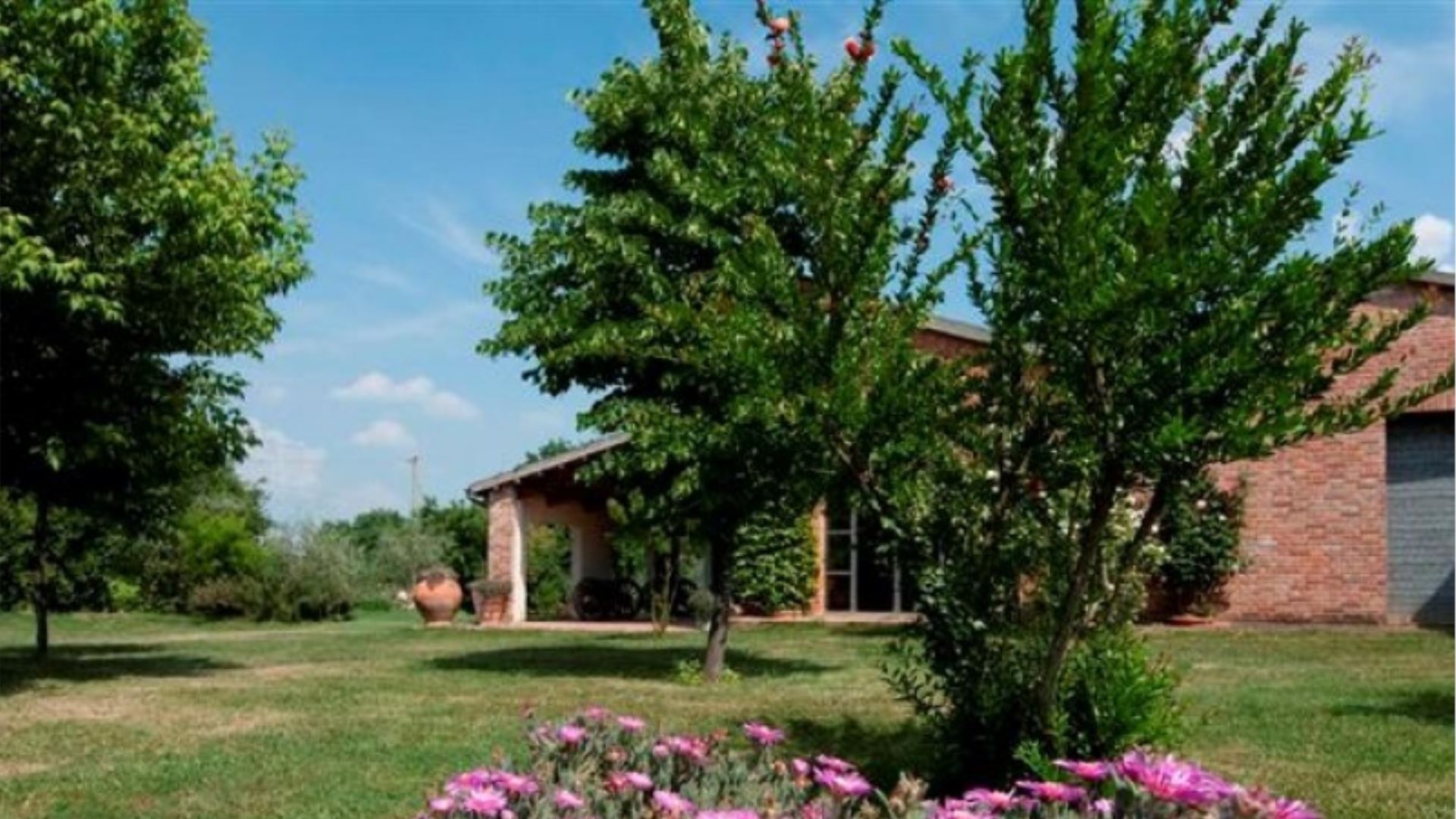 PODERE NOBILE - GREPPINO