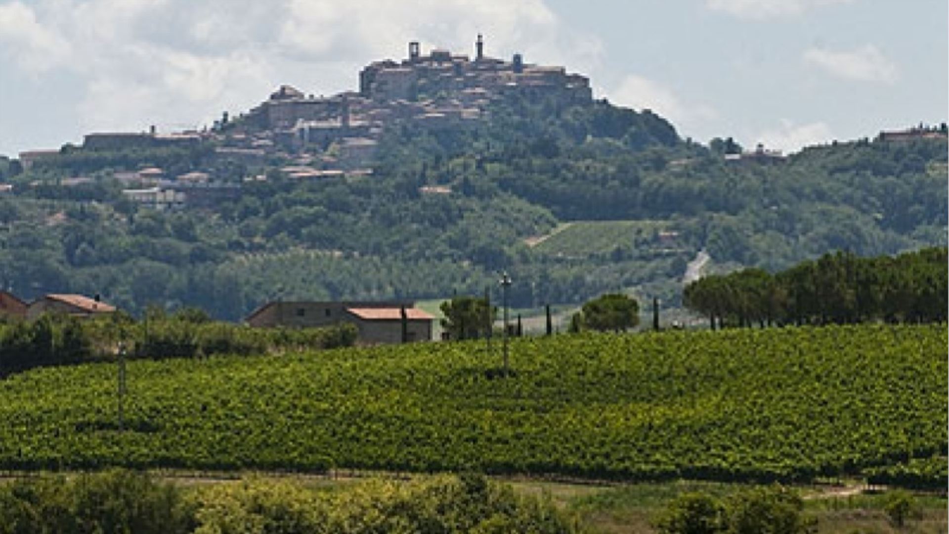 PODERE NOBILE - VERMENTINO