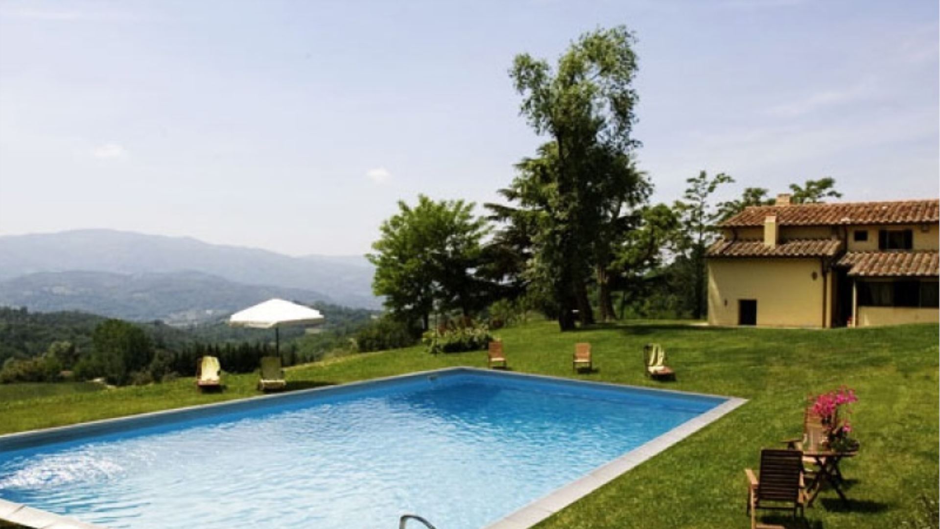 MAGNOLIA E CAMELIA - CAMELIA