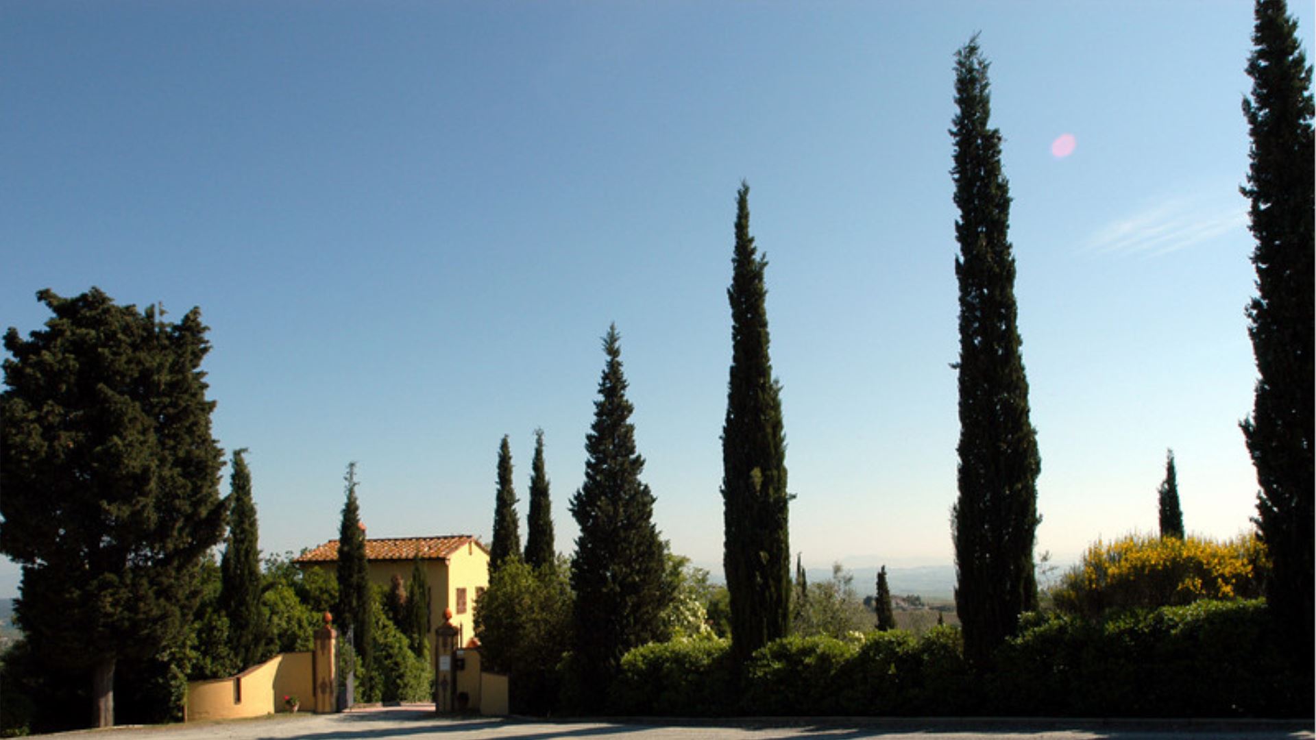 IL VALLINO - MICHELANGELO