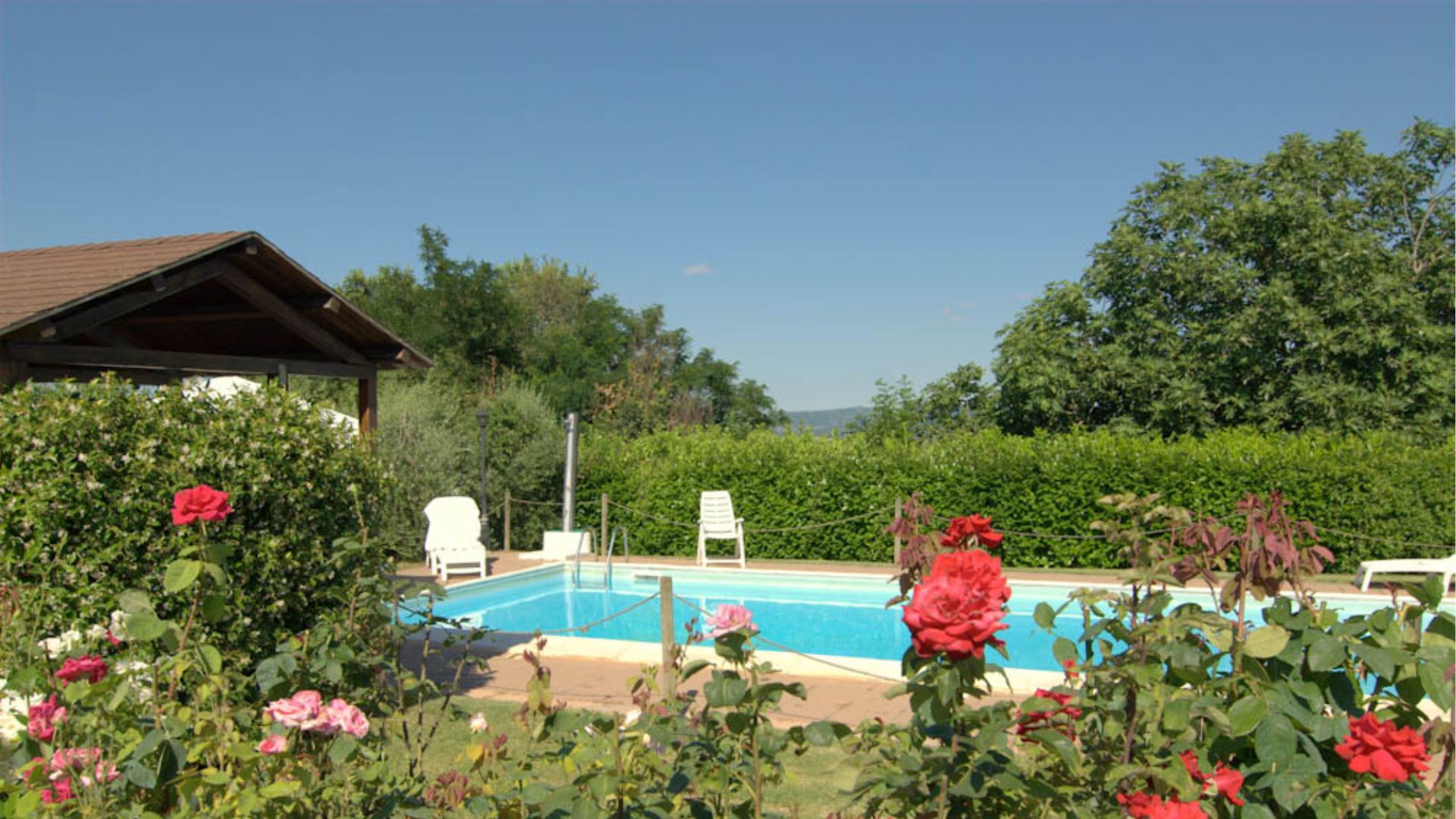 DOLCE COLLINA
