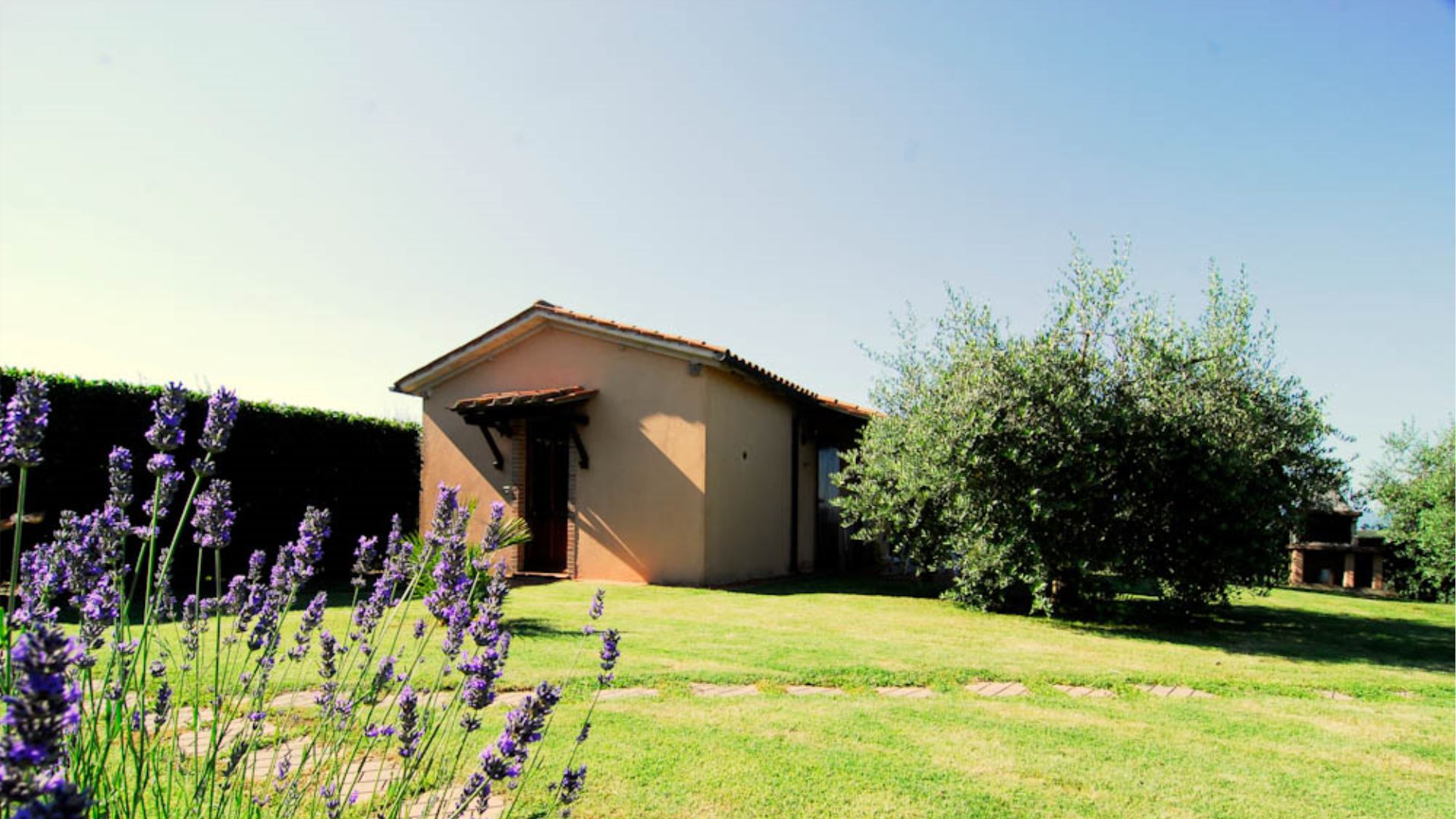 DOLCE COLLINA