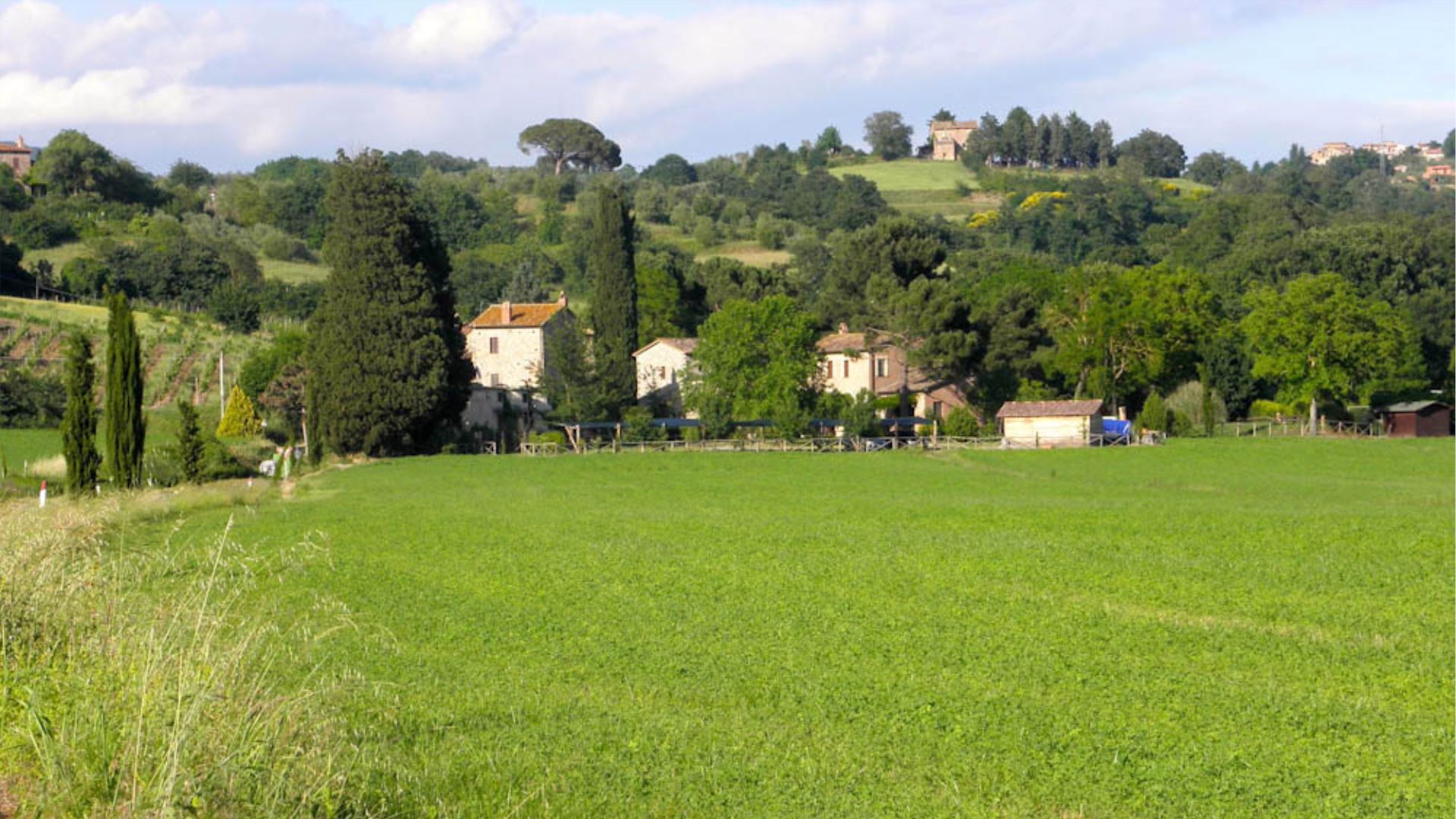 BORGO DEI PINI