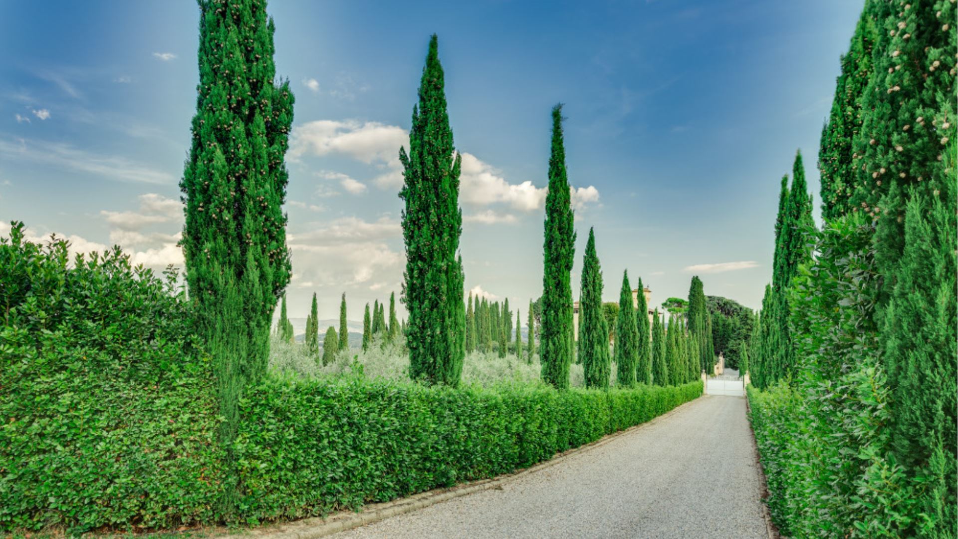 PODERE DEGLI DEI