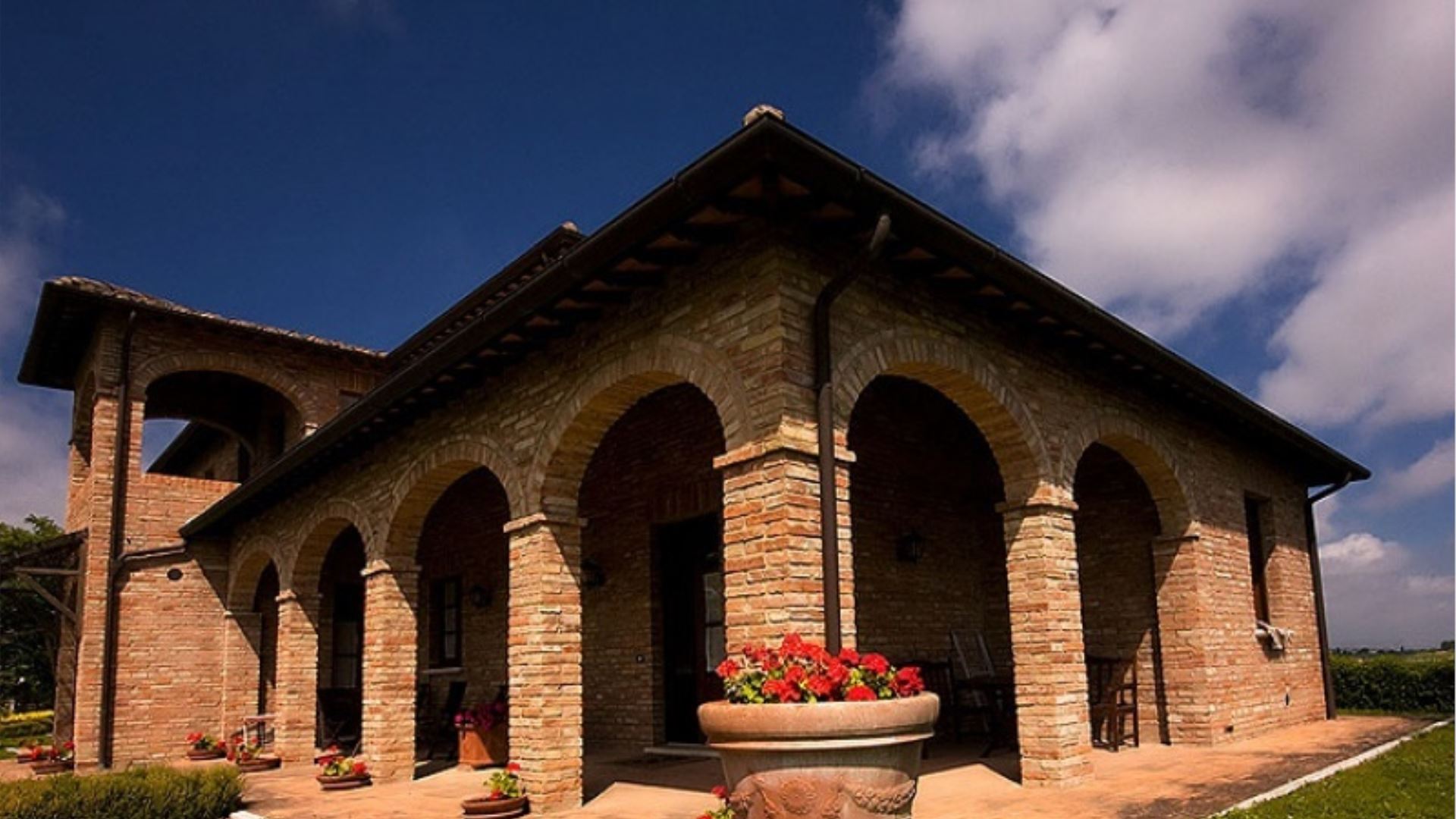 SANGUINETO - GIRASOLE