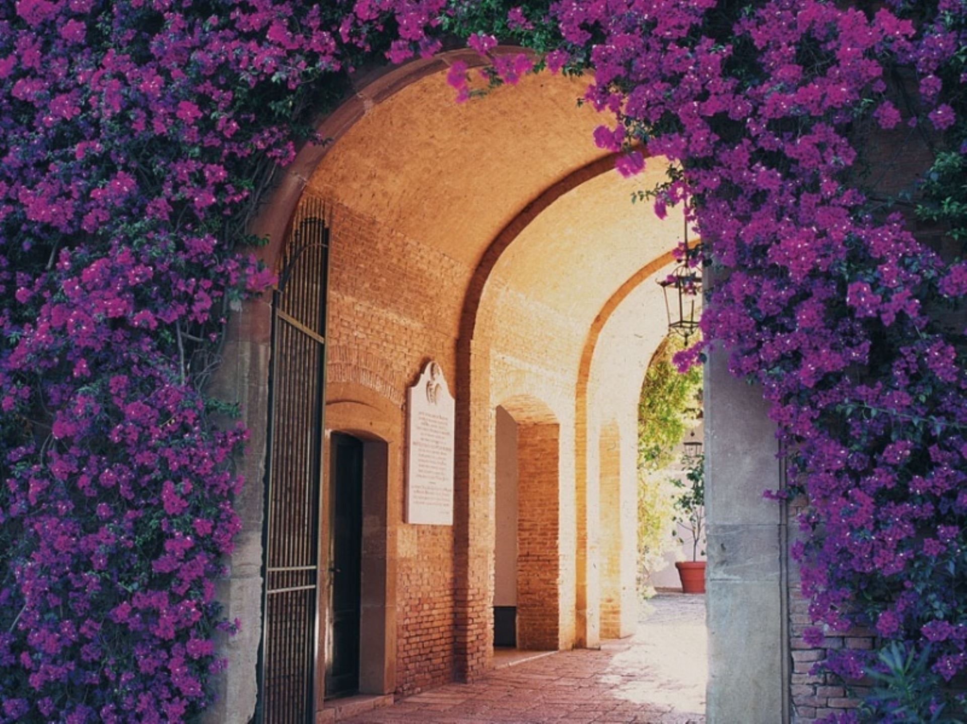 SAN TEODORO - OROVAL