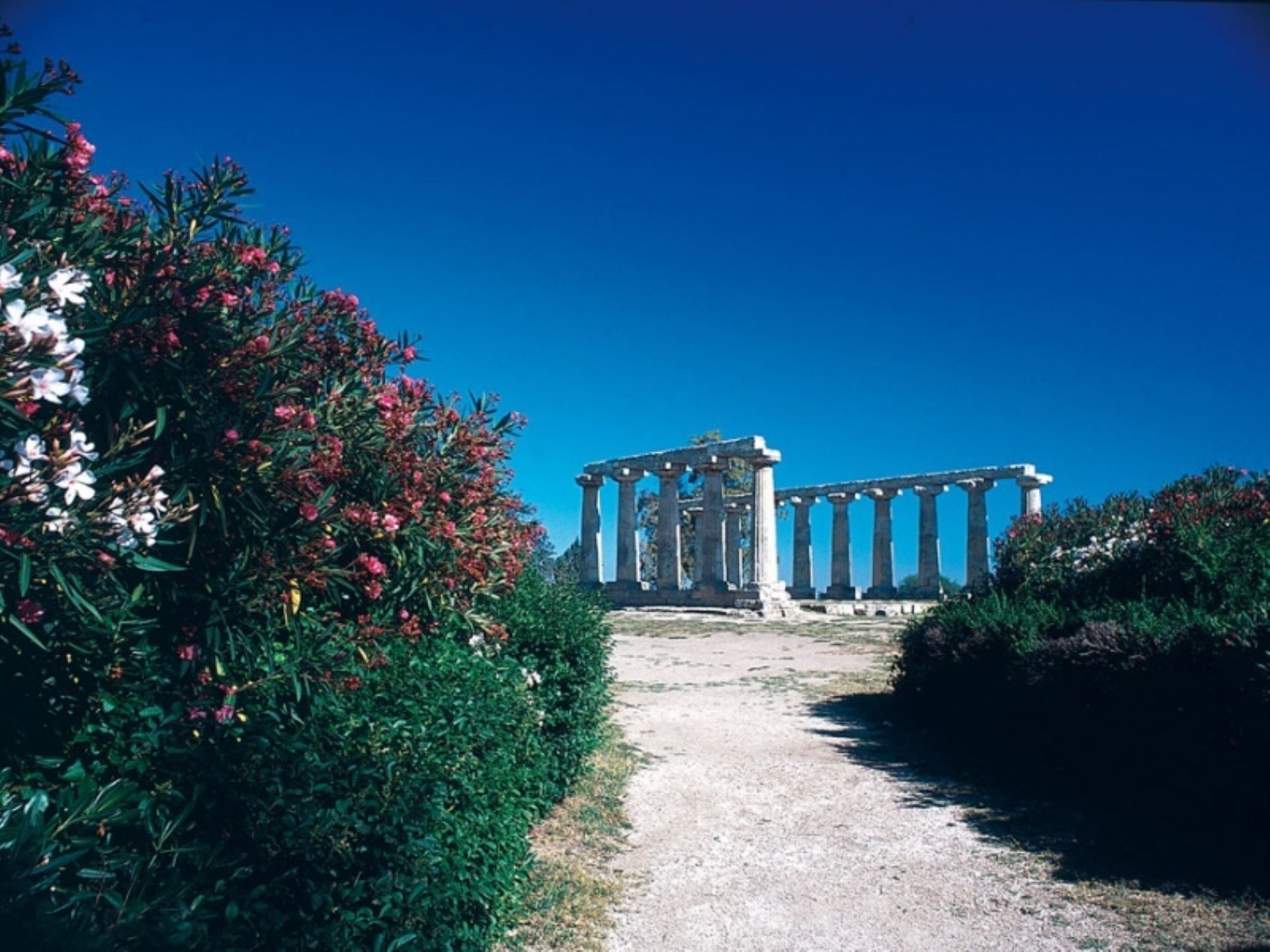 SAN TEODORO - ORIETTA