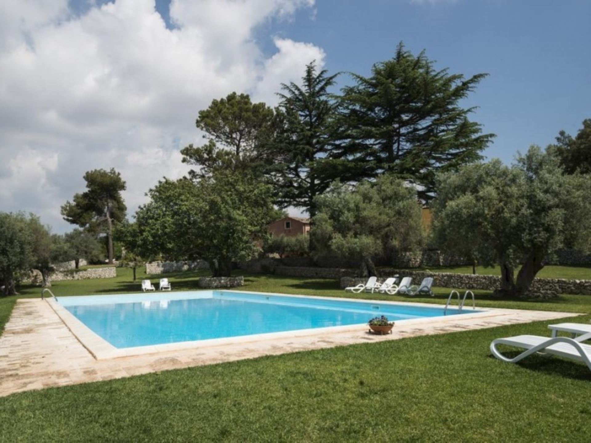 BORGO DEGLI ULIVI - BUGANVILLEA