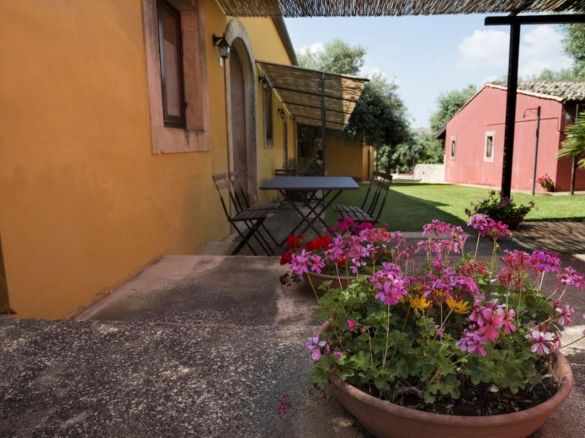 BORGO DEGLI ULIVI - UVA