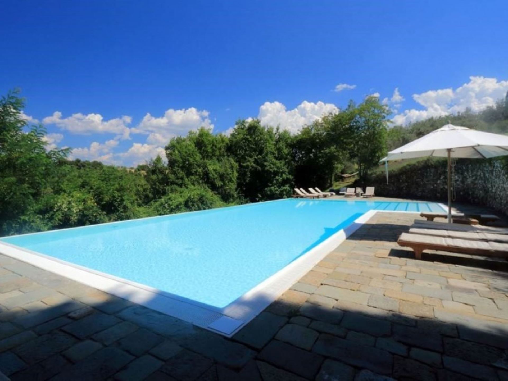 CASTELLO DI MONTEFRIDI - I CIPRESSI