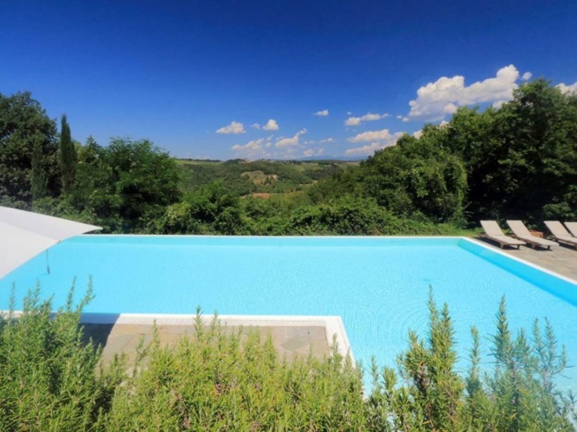 CASTELLO DI MONTEFRIDI - LE GINESTRE