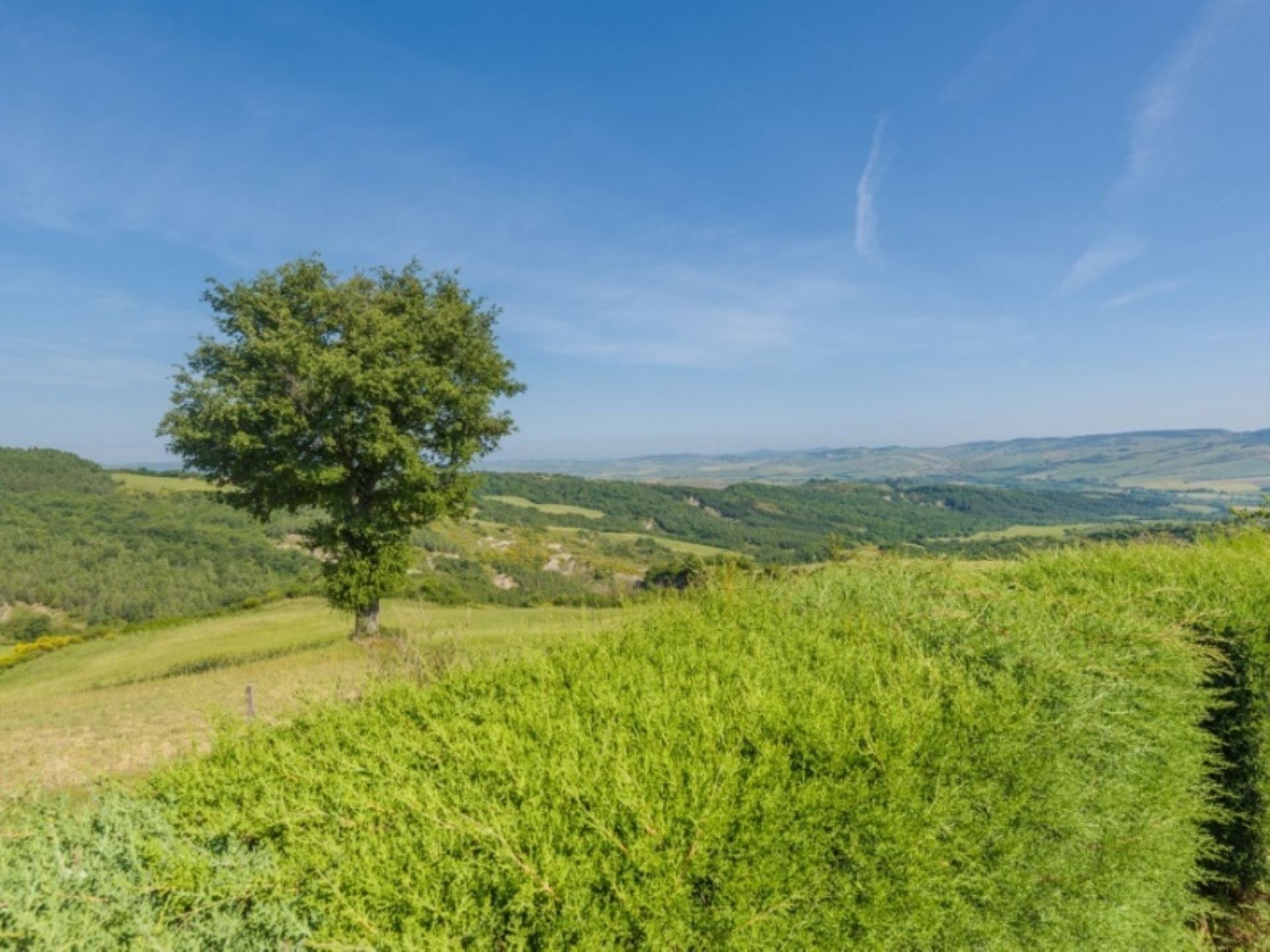 PODERE DEL MEZZADRO