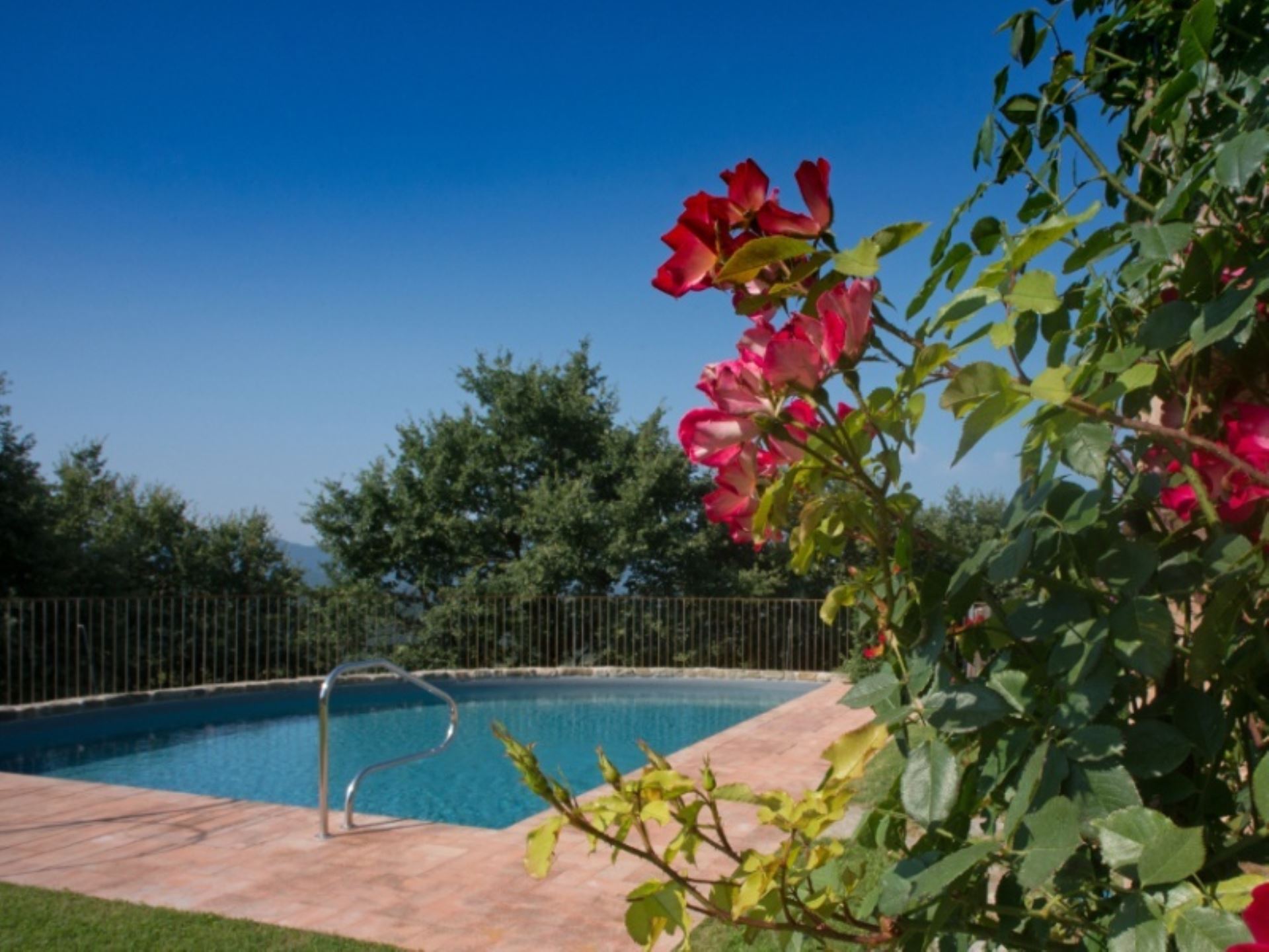 VILLA AMIGDALA