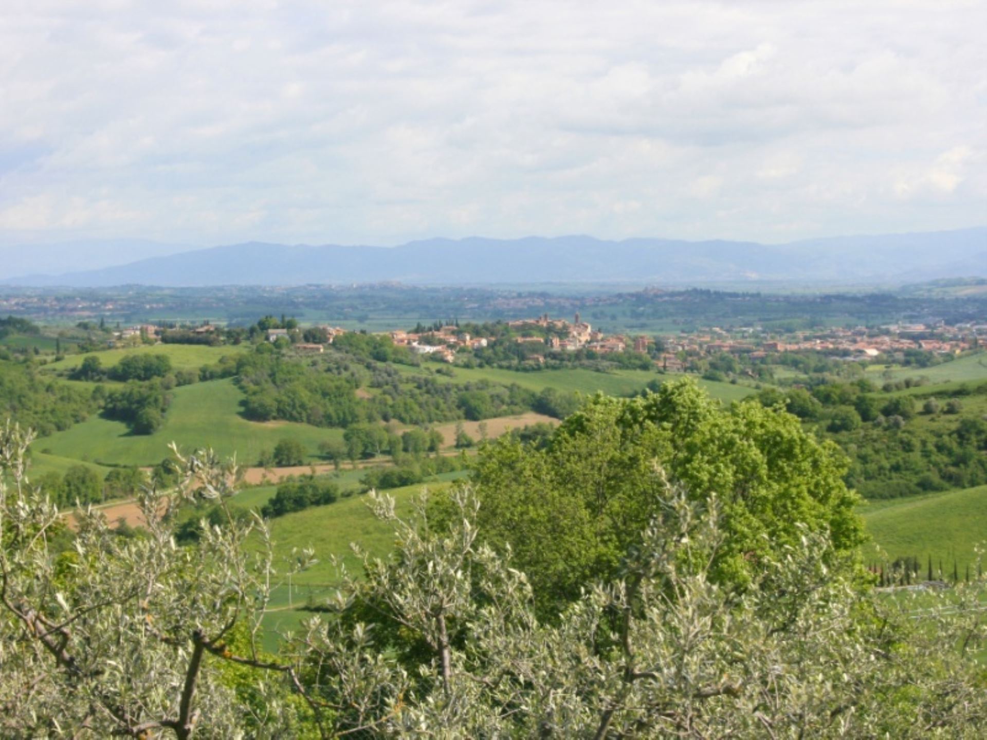 LA ROTELLA