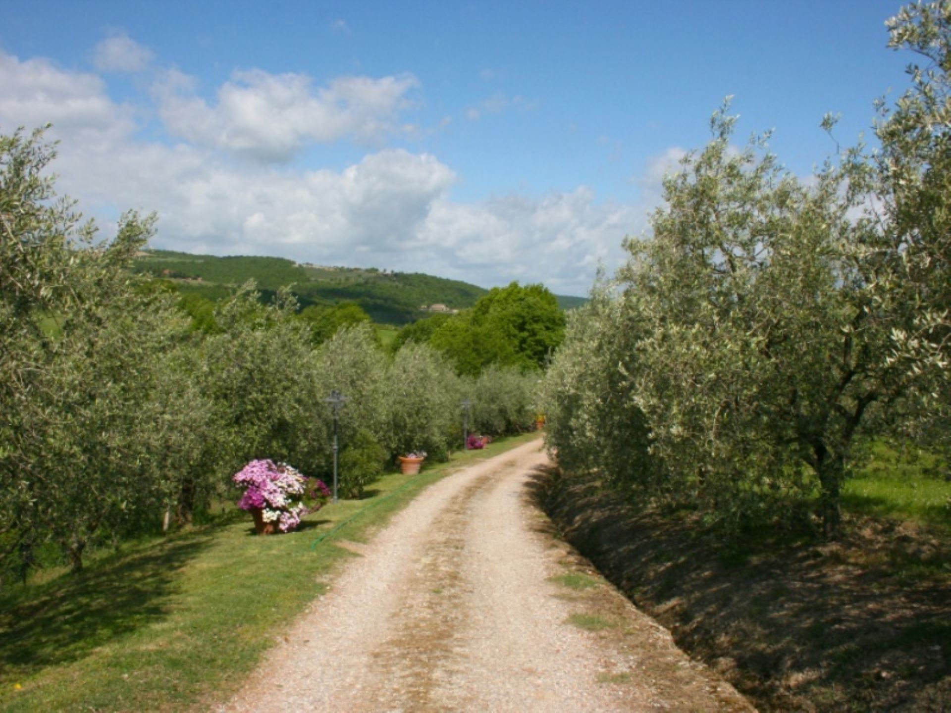 LA ROTELLA