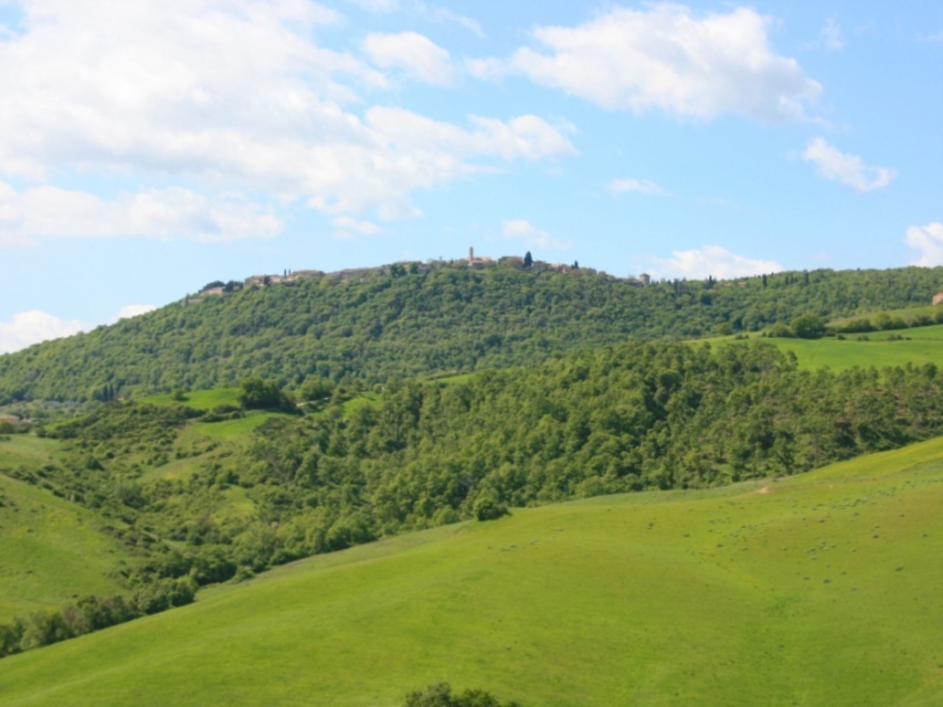 LA ROTELLA