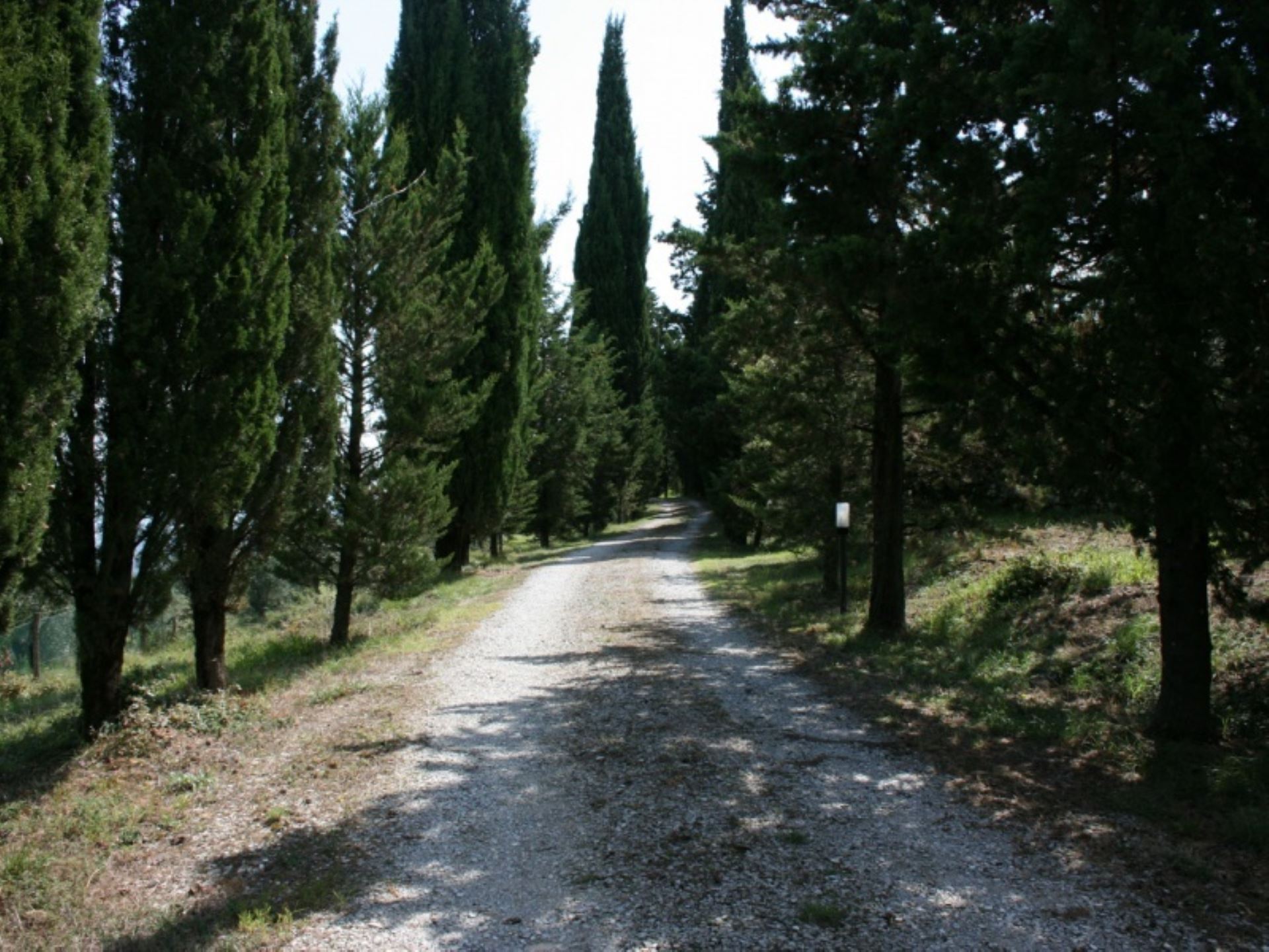 PODERE COCCO