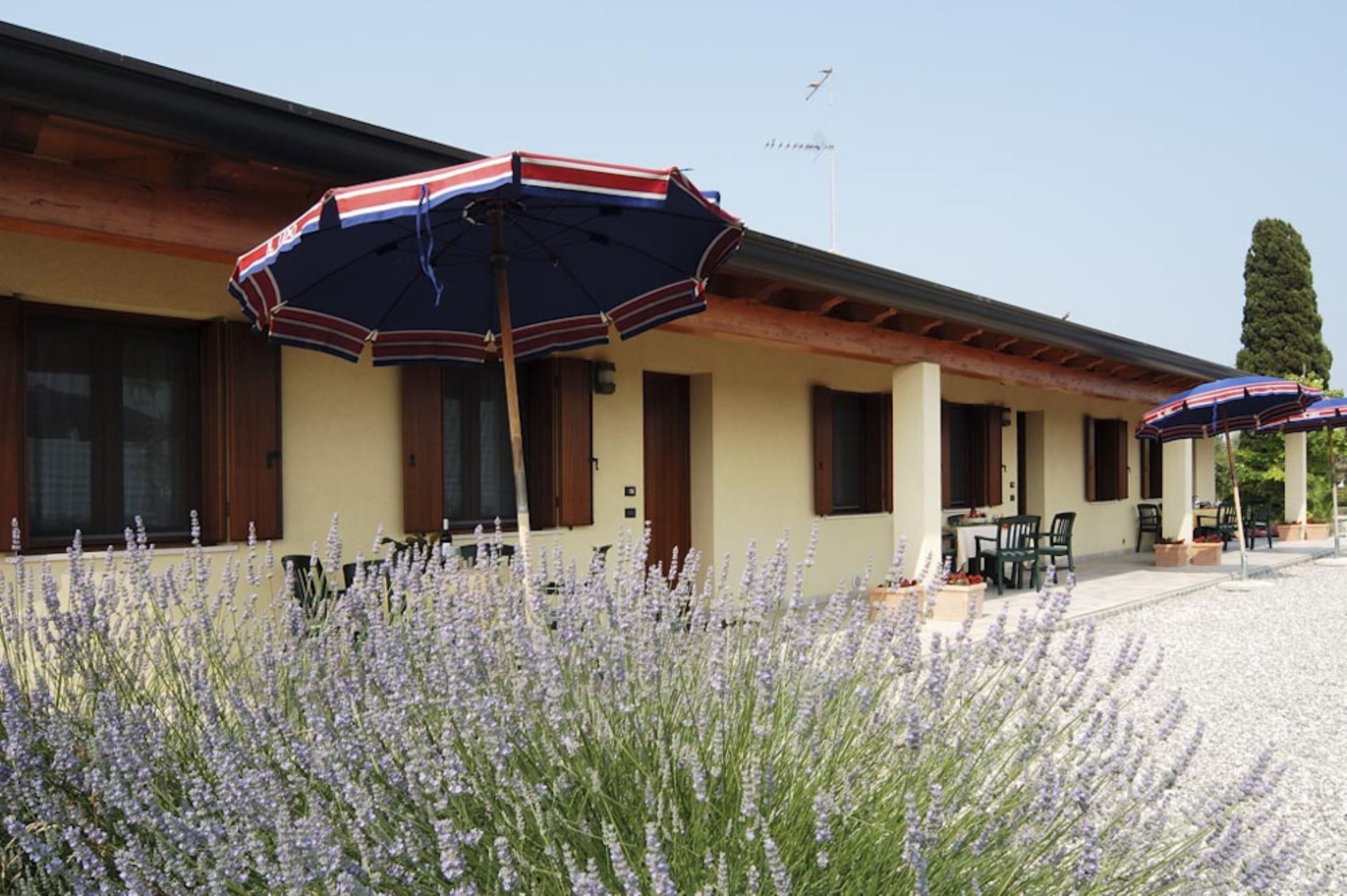 TENUTA REGINA - MASORINI 2