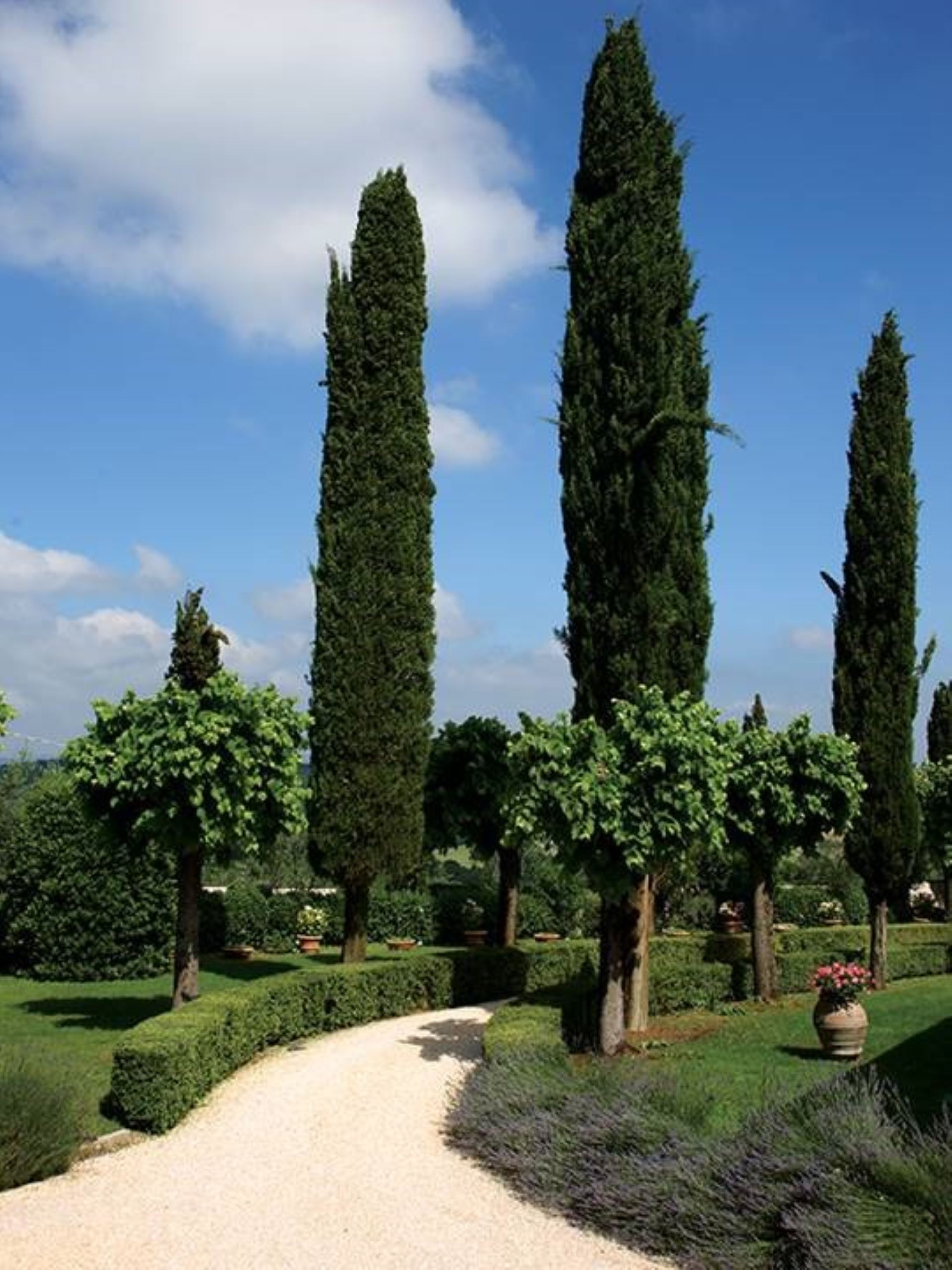 VILLA COLLALTO