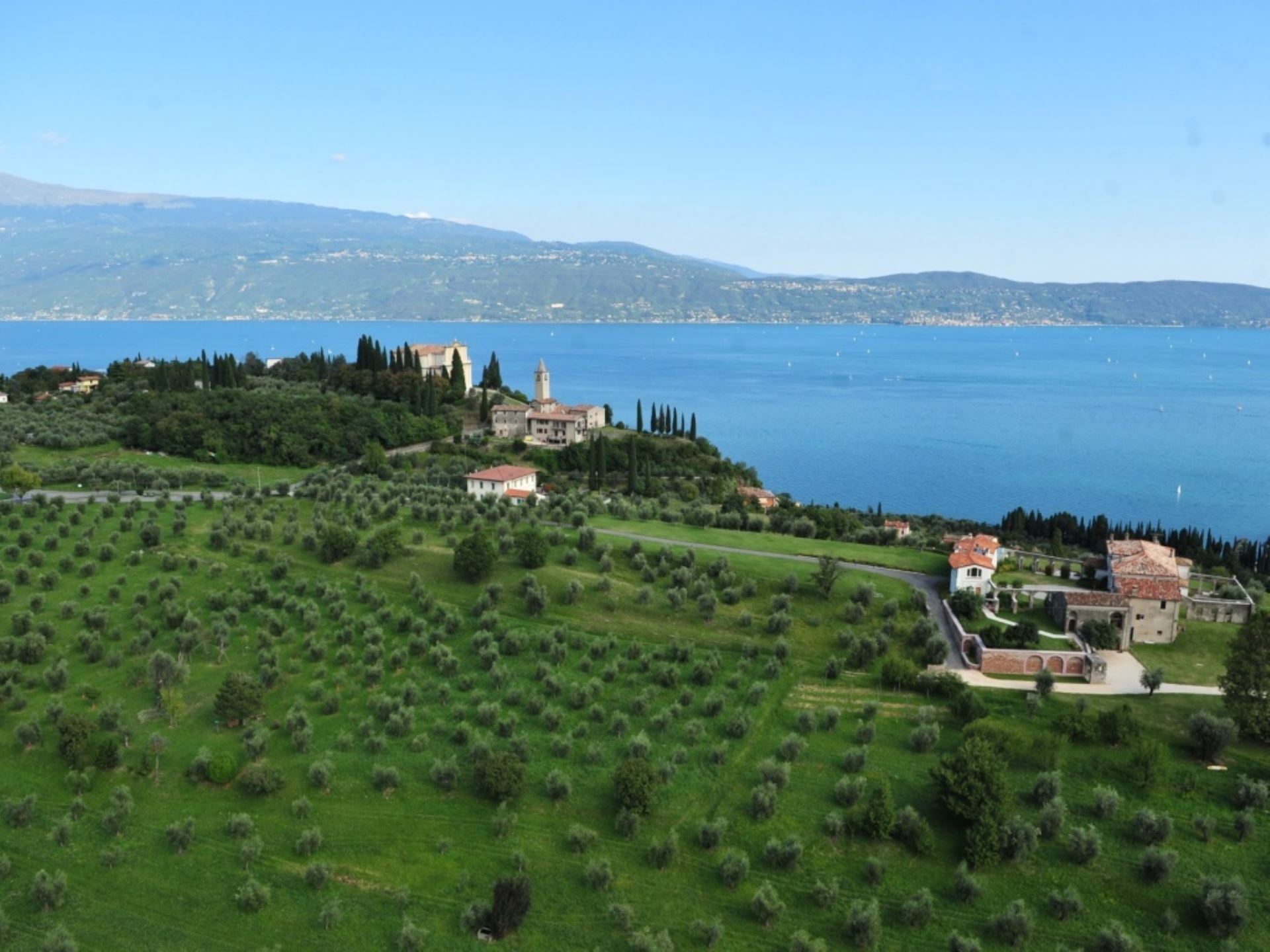 VILLA LE SELVE