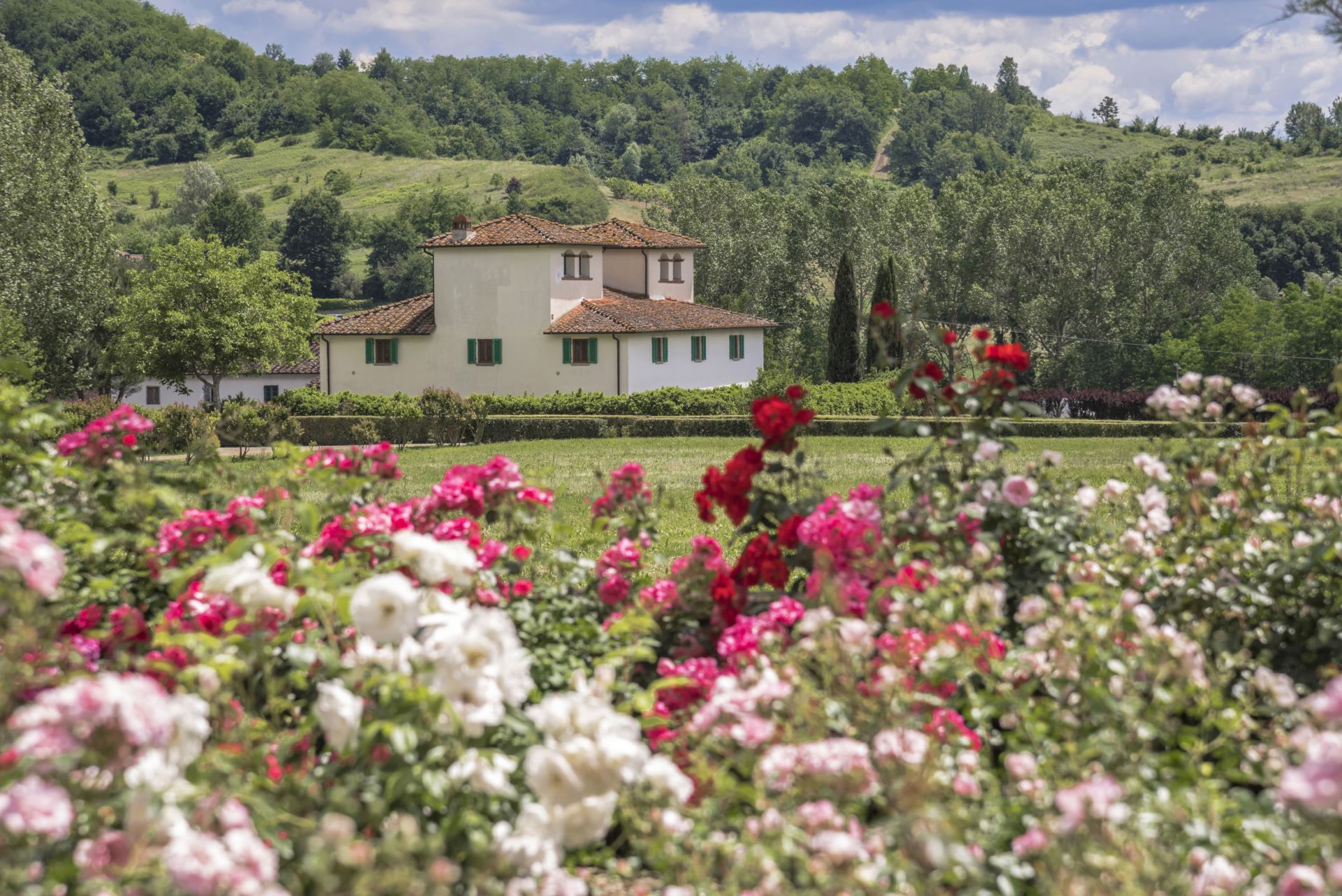 VILLA TERRA