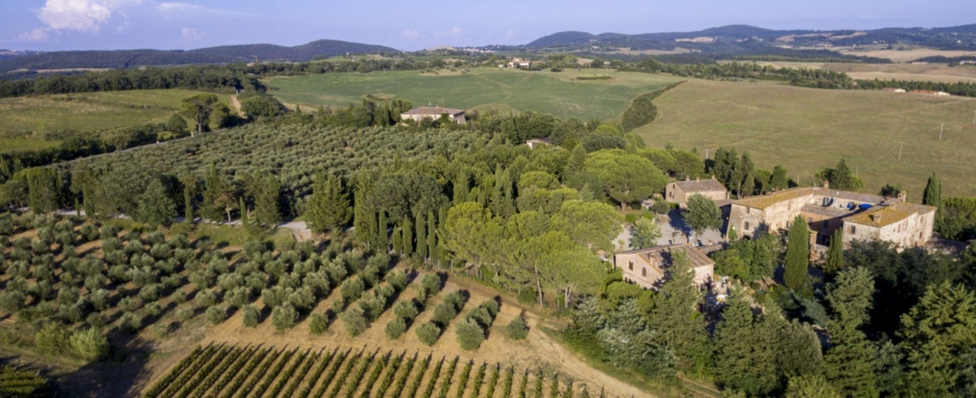 FATTORIA BOSCHETO - CIPRESSO