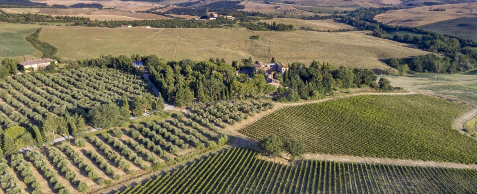 FATTORIA BOSCHETO - QUERCE