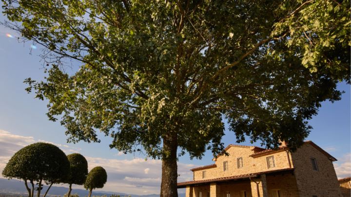 VILLA CAPODIMONTE