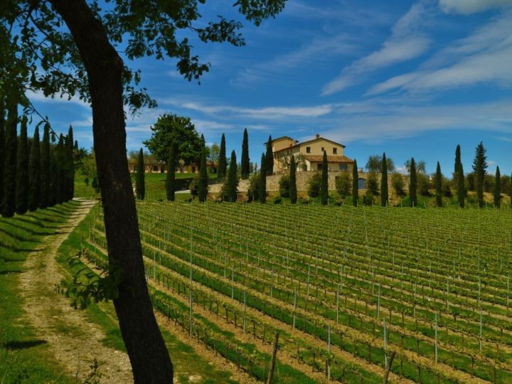 VILLA LE BUCHE