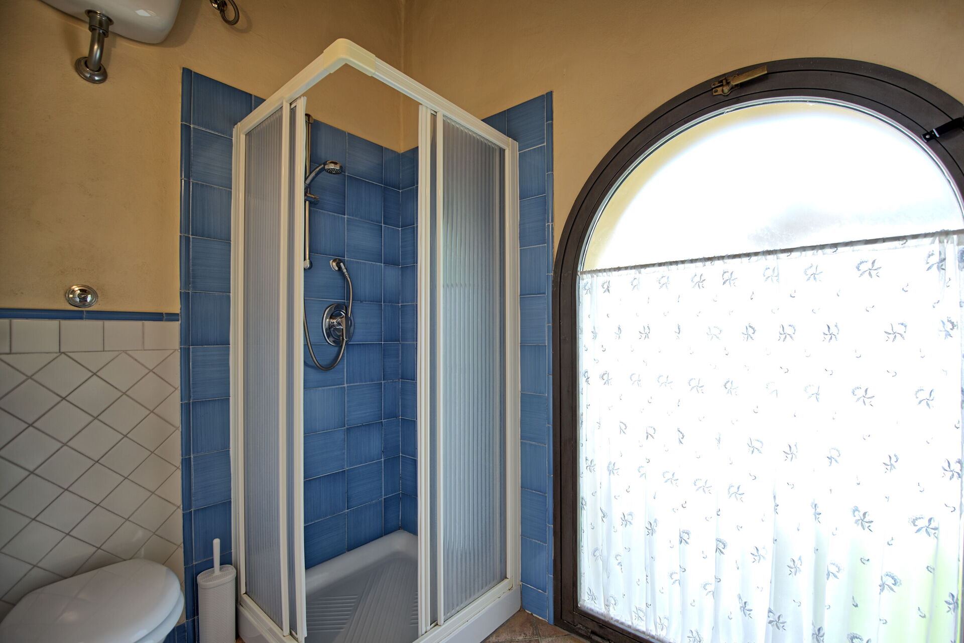 image Glicini 3