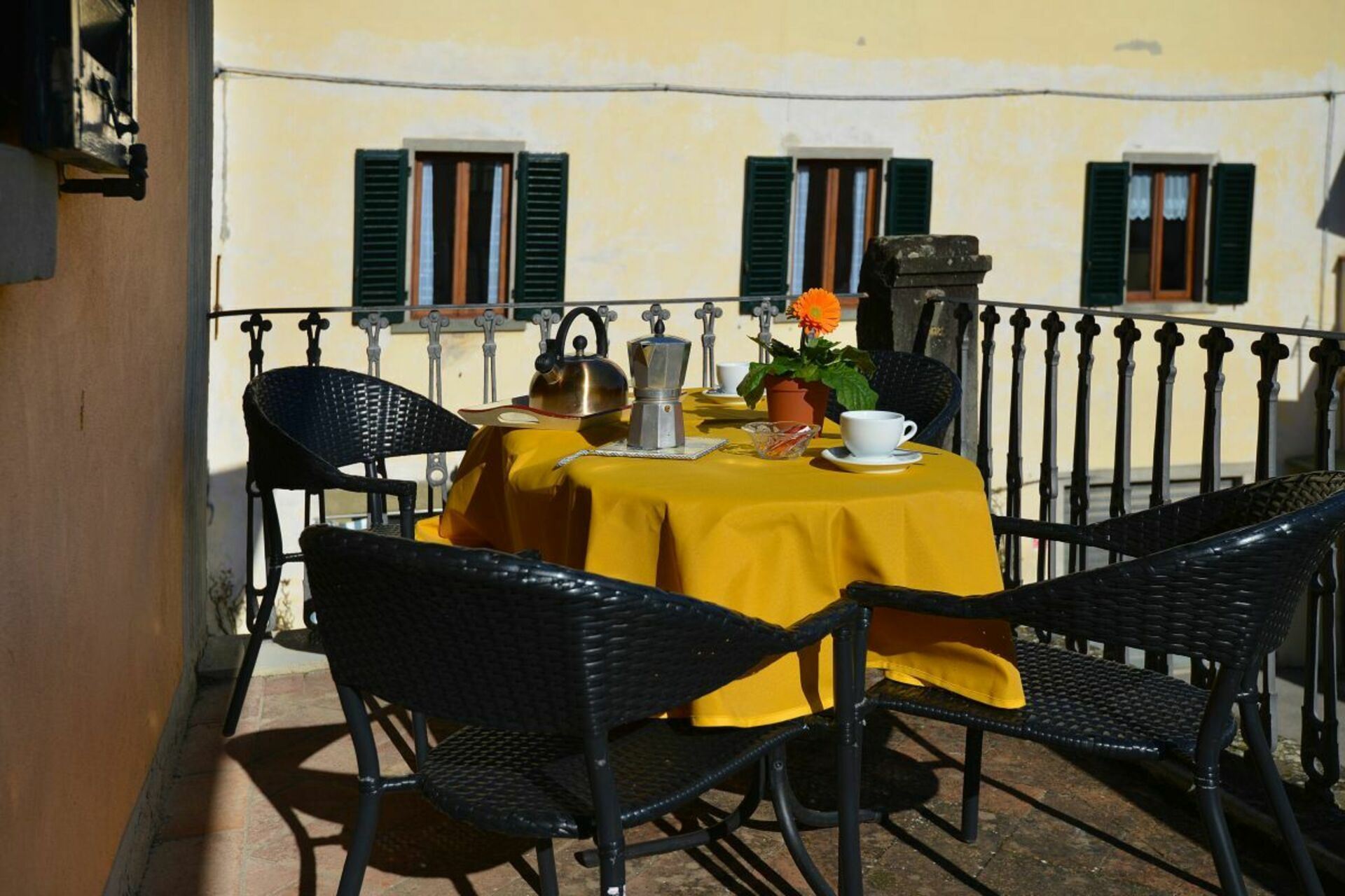 image Giaggiolo