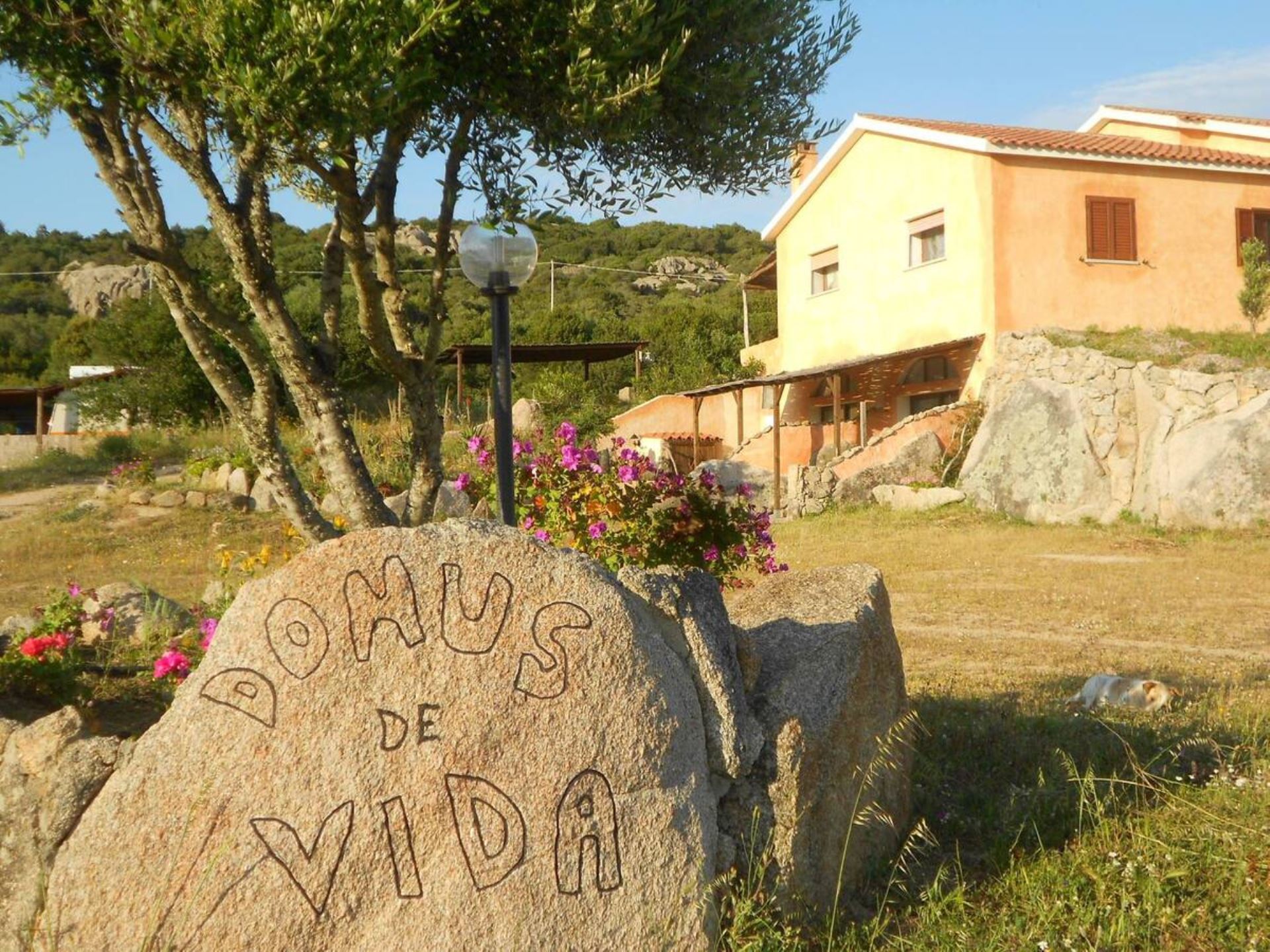 Domus De Vida